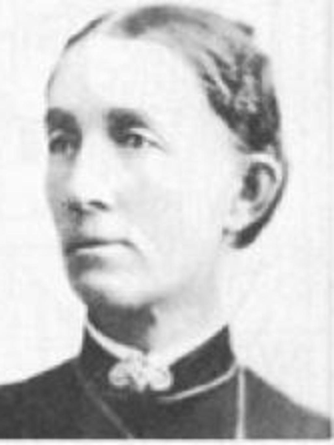 Olive Louisa Bingham (1844 - 1921) Profile